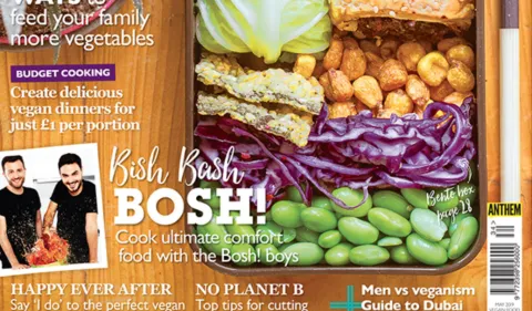 Vegan Food and Living Magazine X BOSH!