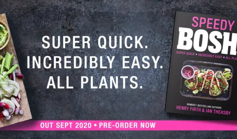 Our New Book: SPEEDY BOSH! 