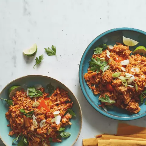 Vegan Jammin' Jambalaya Bosh TV