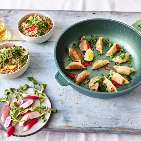 Vegan KIT Dumplings BOSHTV