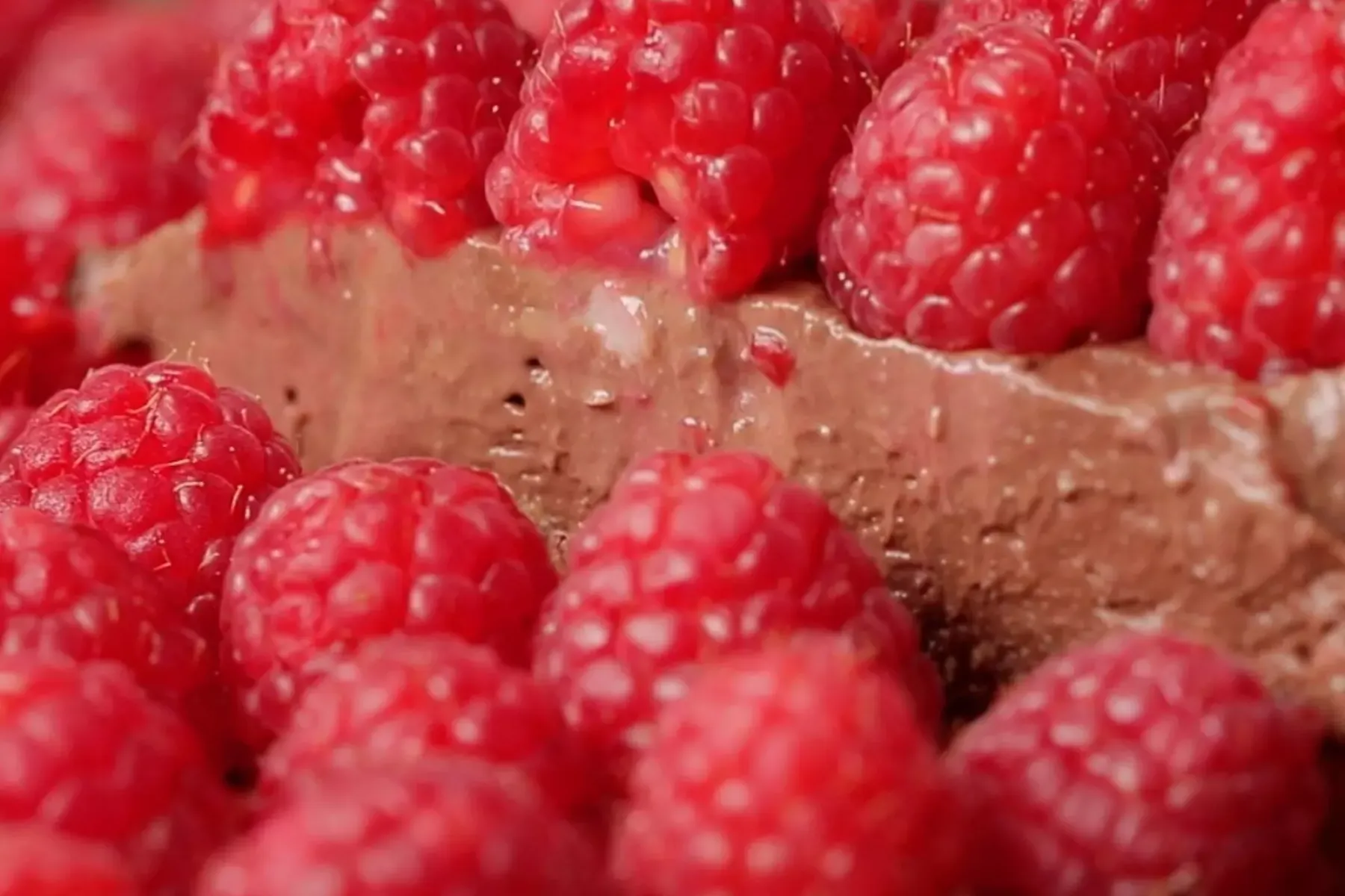 Vegan Chocolate Raspberry Cashcake Bosh TV