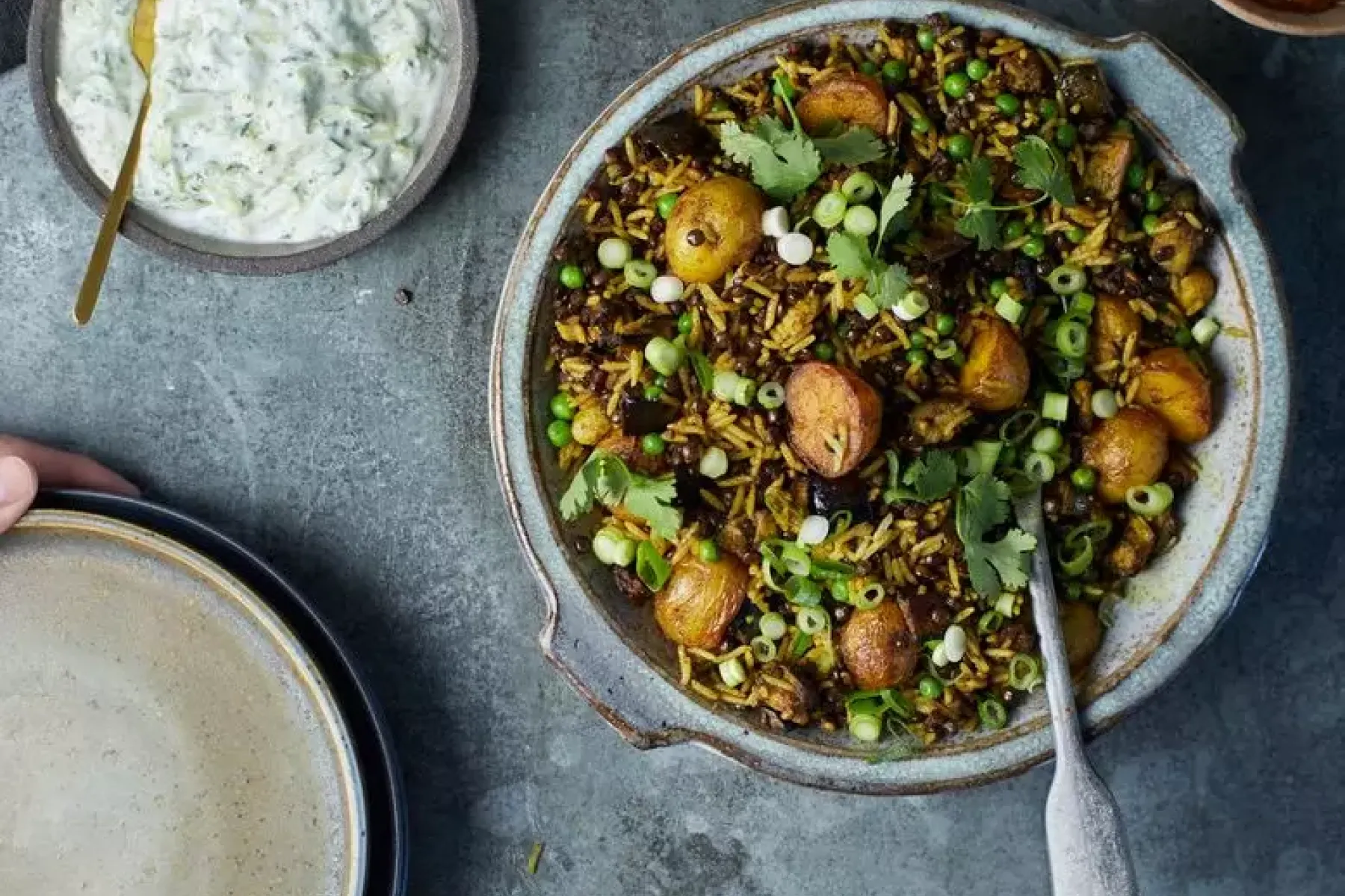 Vegan Henry's Biryani Bosh TV