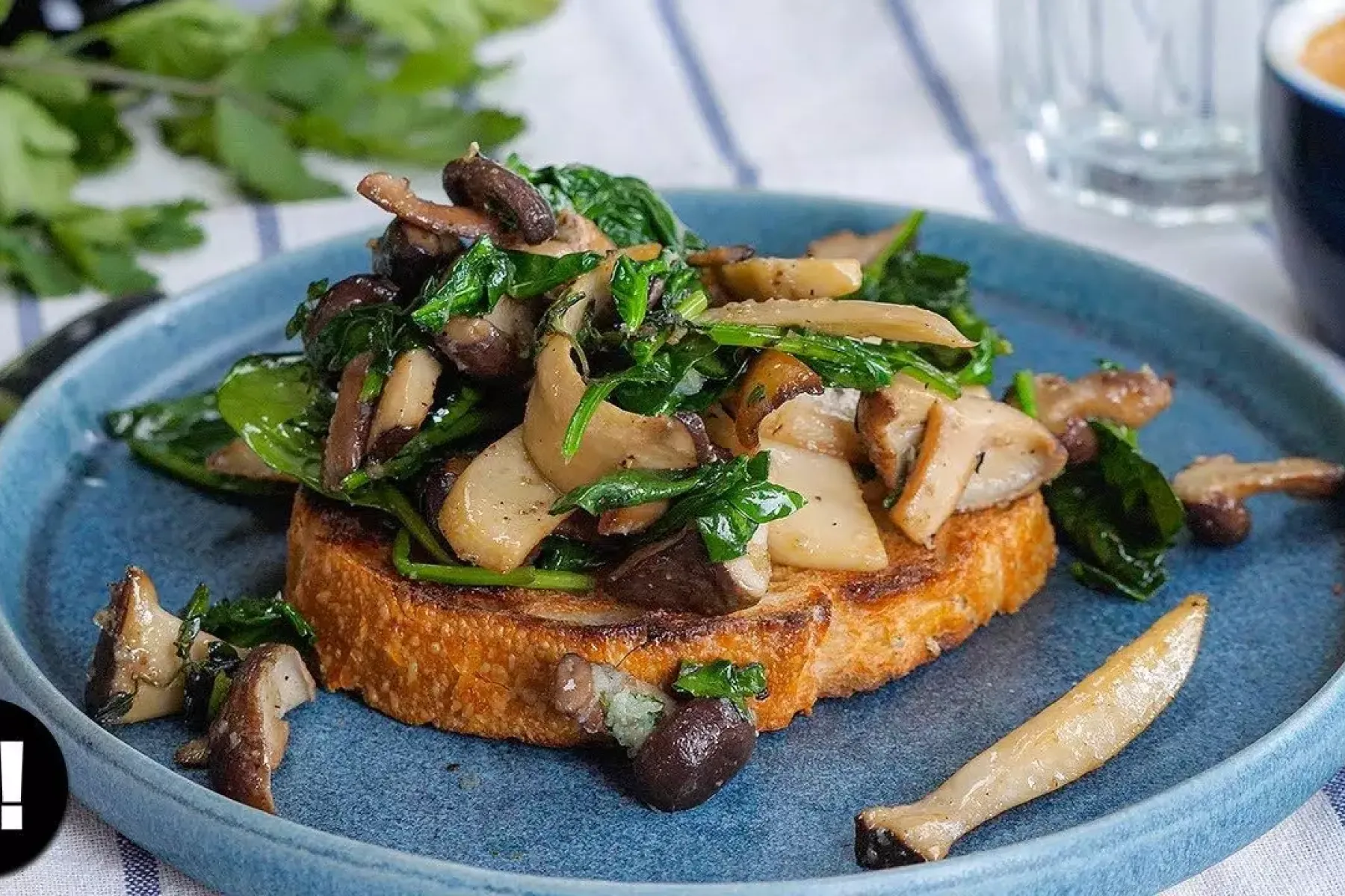 Vegan Herby Mushrooms on Toast Bosh TV